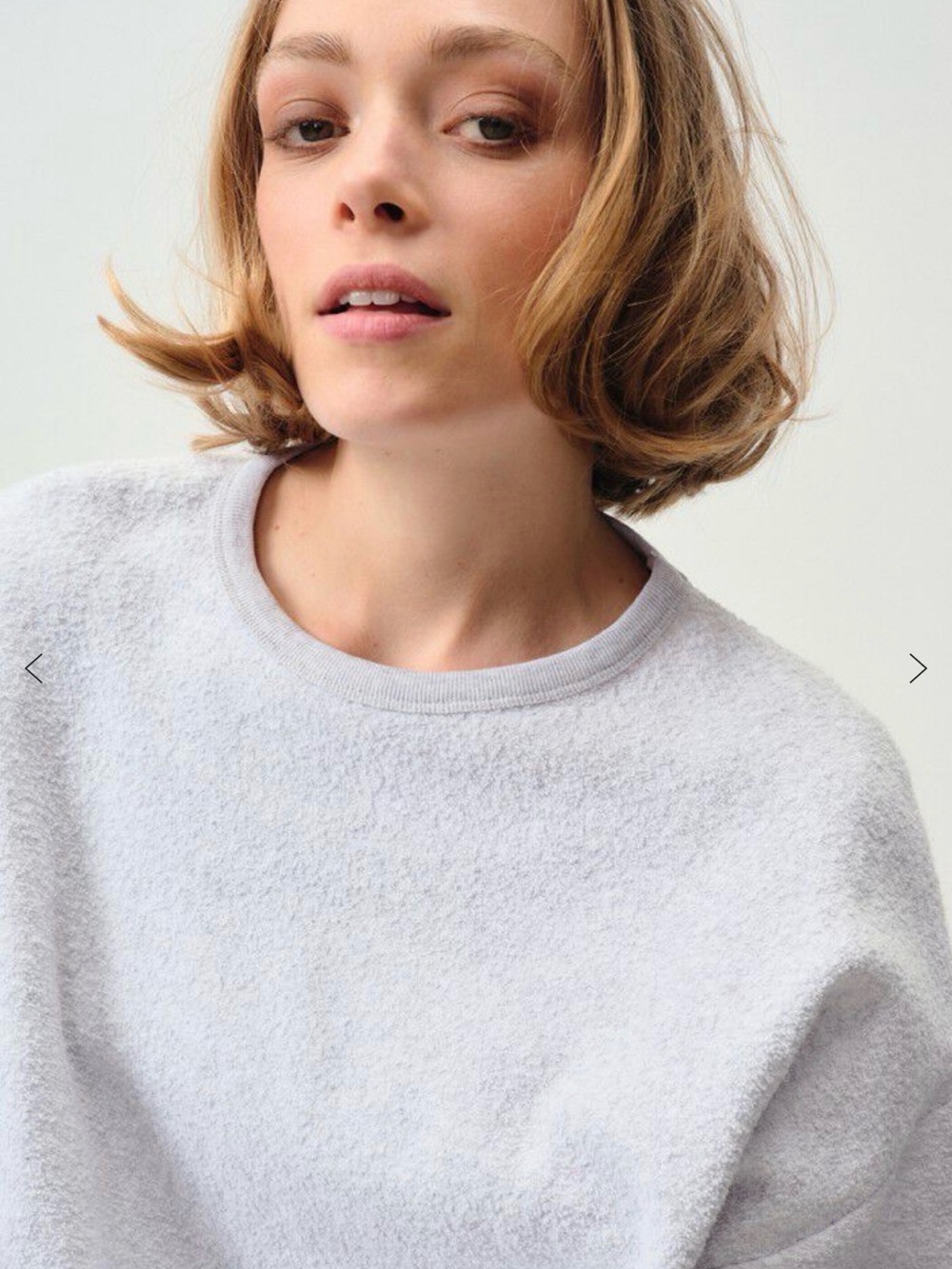 VGUC American Vintage Bobypark Sweatshirt